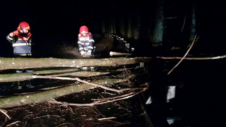 Maltempo, chiusa per una frana la statale 182 a Sorianello