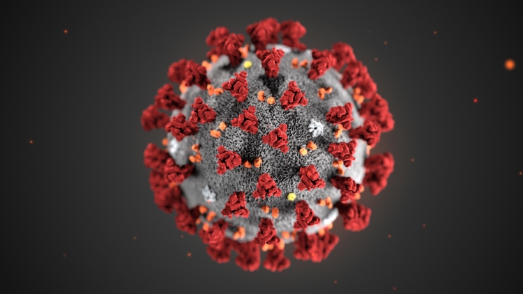 Coronavirus, bollettino della Regione: 555 persone positive (+61 rispetto a ieri), nel Vibonese 35 positive e un morto