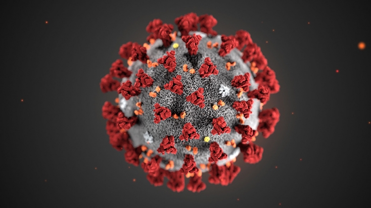 Coronavirus, bollettino della Regione: 901 persone positive (+27 rispetto a ieri), nel Vibonese 59 positive