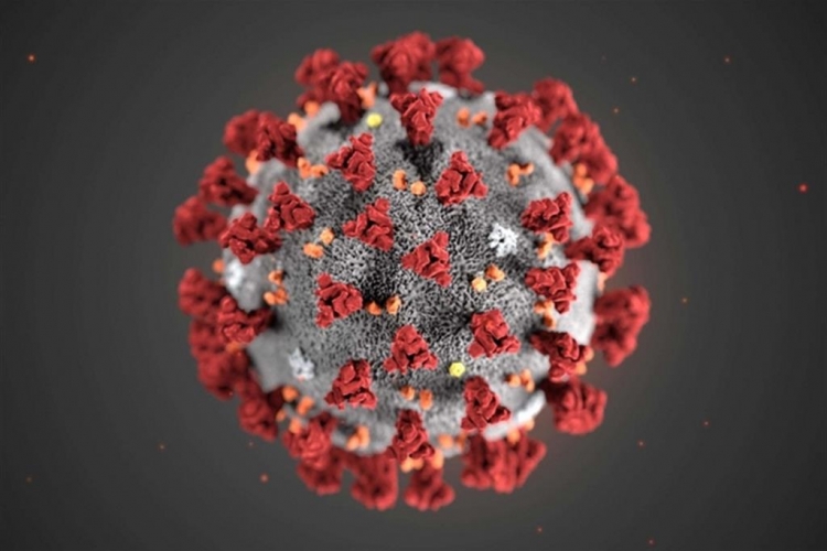 Coronavirus, 207 nuovi positivi e 503 guariti/dimessi in Calabria. Il bollettino