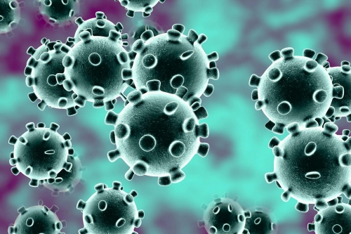 Coronavirus, bollettino ufficiale della Regione: i casi positivi salgono a 273 (+38 rispetto a ieri), nel Vibonese sono 12