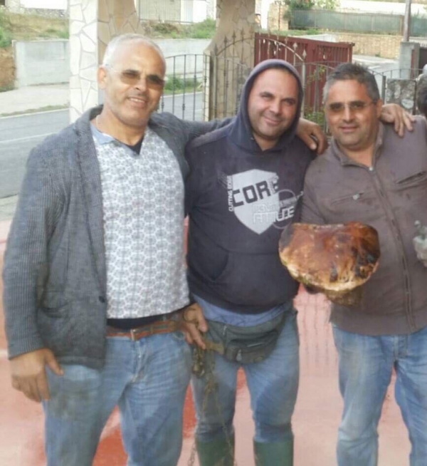 Fungo porcino da 2 kg trovato nelle montagne tra Savini e Serra