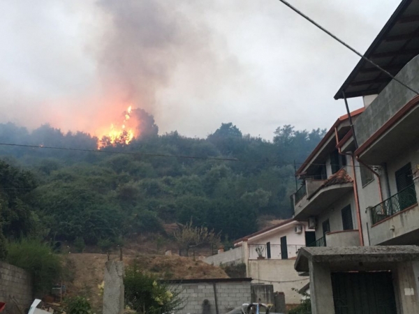 Incendio a Dasà, distrutti oltre 20 ettari di ulivi. Allertato anche un canadair – LE FOTO