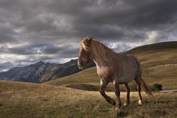 Concorso fotografico città di Soriano, il primo premio va a Stefano Buttafoco