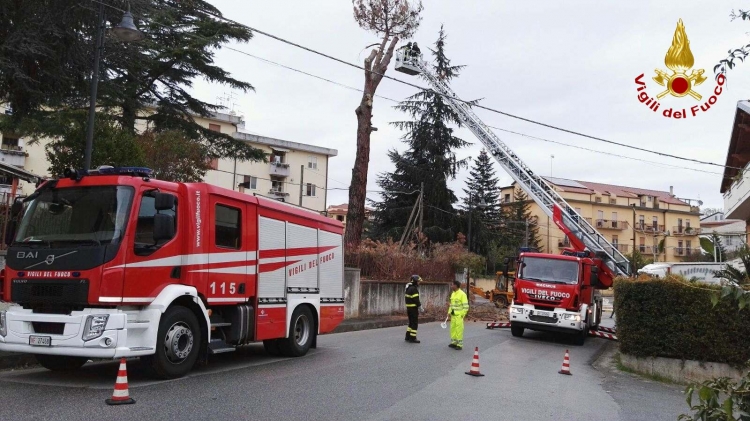 San Costantino, abbattuto un albero pericolante nel cortile di una scuola materna