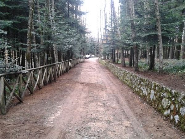 Parco delle Serre, un corso per la valorizzazione del turismo naturalistico