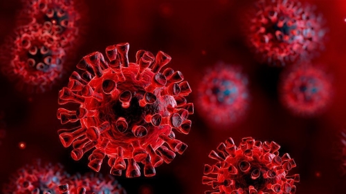 Coronavirus, 1091 tamponi in più e 3 positivi. Nessun nuovo caso nel Vibonese. Il bollettino