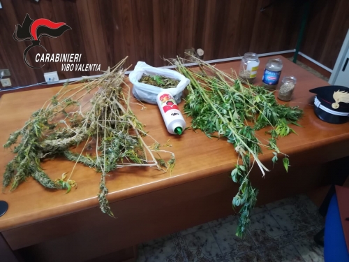 Gerocarne, 57enne arrestato per produzione e detenzione di marijuana