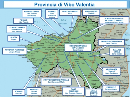 La mappa dei clan secondo la Dia: «Il Vibonese continua a essere territorio di riferimento dei Mancuso»