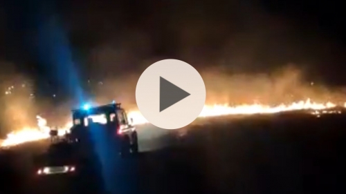 Vasto incendio a Fabrizia, in fiamme 3 ettari di terreno - VIDEO