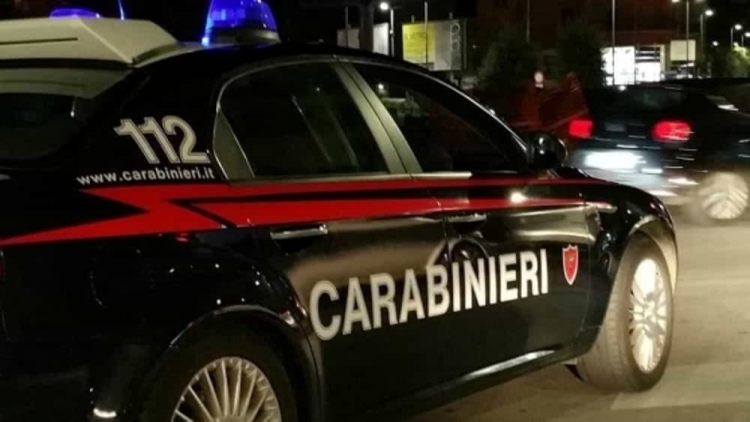 Sorpresi a trafugare legname dal Parco delle Serre, arrestati 3 fratelli a Gerocarne