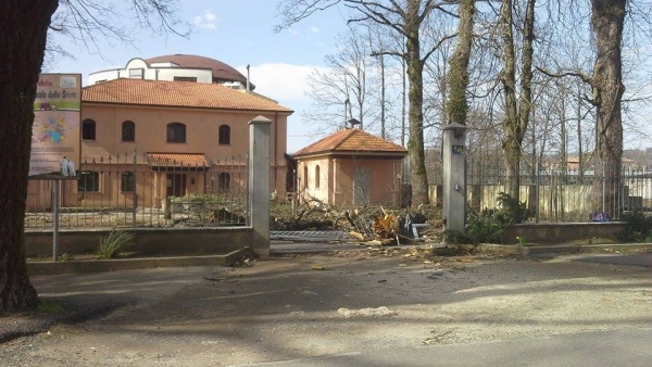 Serra, ancora forti raffiche di vento: un albero crolla sul cancello della sede del Parco