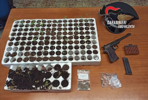 Pistola, munizioni e piantine di marijuana in una casa di campagna: arrestato un 35enne a Dinami