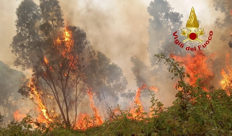 Il report della Regione sugli incendi: «Ancora 59 roghi attivi, situazione continua a essere grave»