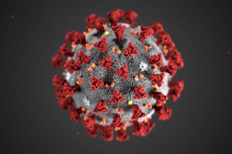 Coronavirus, sale ancora il numero di contagi a Fabrizia