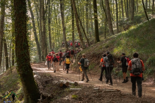 L’eolico che si risveglia, Kalabria Trekking: «A rischio le bellezze naturalistiche del percorso “Coast to Coast”»