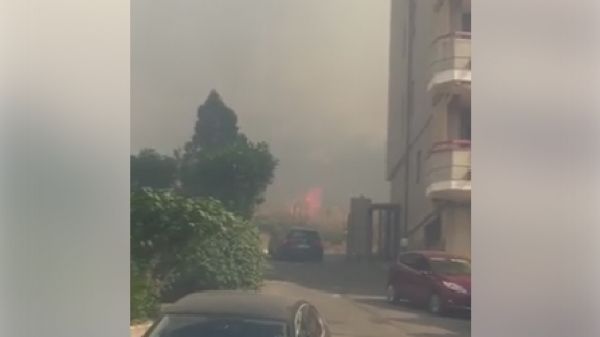 Emergenza incendi nel Vibonese, rogo minaccia alcune abitazioni a Tropea - VIDEO