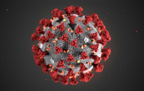 Coronavirus, 7 nuovi casi a Cardinale