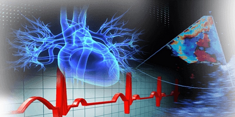 A Vibo una due giorni internazionale sulla nuova &quot;Cardio neurologia&quot;