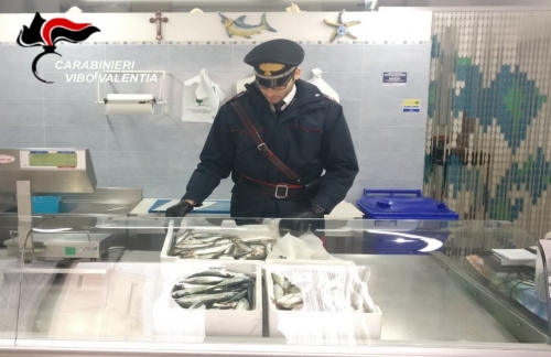 Sequestrati 11 Kg di pesce a Ricadi