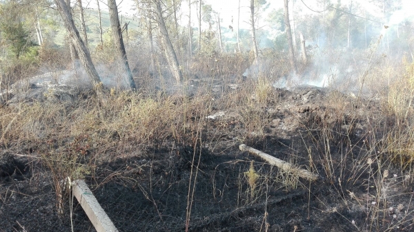 Inferno di fuoco nel Vibonese, fiamme anche nell’Oasi dell’Angitola