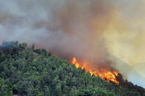 Serra, emessa l’ordinanza per la prevenzione e la lotta agli incendi boschivi