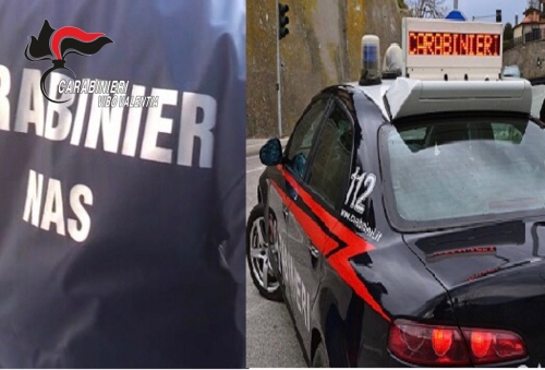 Controlli dei carabinieri in alcuni ristoranti di Serra e Spadola, elevate sanzioni per 9mila euro