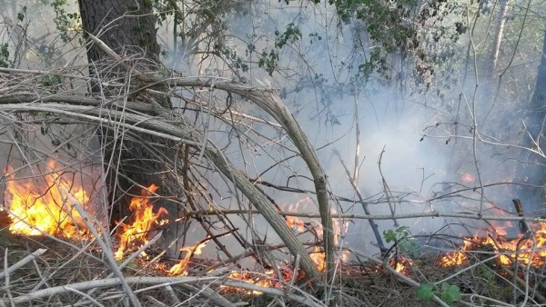 Serra, incendio di vaste dimensioni in località “Croce Ferrata”