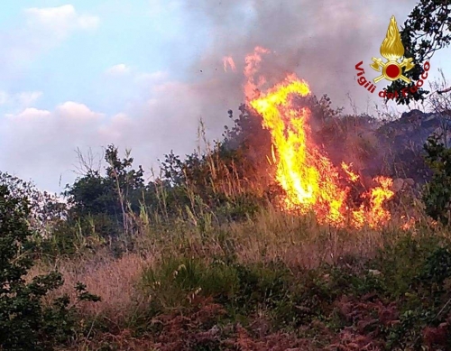 Incendi in diversi comuni del Vibonese, 22 gli interventi dei vigili del fuoco