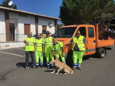 La storia di Onofrio, il Labrador salvato dai cantonieri dell’Anas