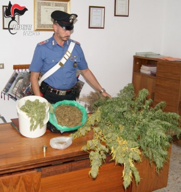 Aveva realizzato un laboratorio per la lavorazione della marijuana, arrestato 50enne di Chiaravalle