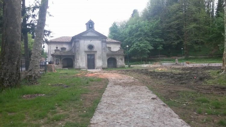 Alberi abbattuti a San Rocco, la Regione si tira fuori: «Da noi nessuna autorizzazione»