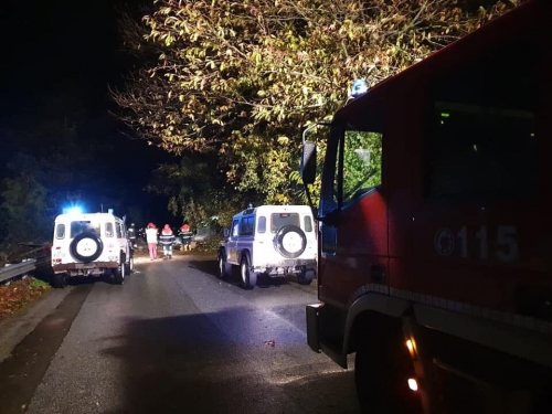 Maltempo nel Vibonese, crollato un albero nei pressi del cimitero a Brognaturo