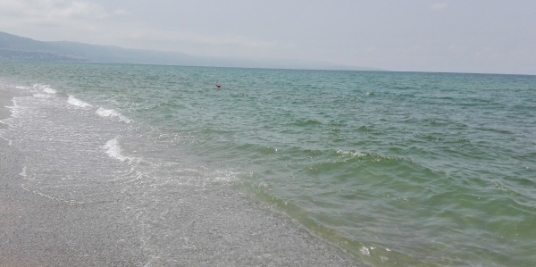 Chiazze verdastre nel mare di Pizzo, l&#039;Arpacal: &#039;È fioritura algale&#039;