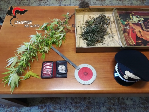 Aveva una pianta di marijuana e un distintivo dei carabinieri, denunciato 49enne di Dinami