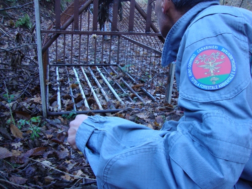 Sequestrata una strada abusiva nel bosco di Serra, una denuncia