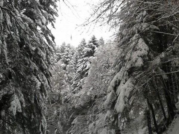 Meteo Serre, domani nuova ondata di maltempo. Rischio neve a quote alte