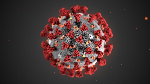 Coronavirus, bollettino ufficiale della Regione: i casi positivi salgono a 89, fermo a 4 il dato del Vibonese