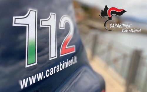 Controlli dei carabinieri nel Vibonese, multe di 2mila euro per un’attività commerciale